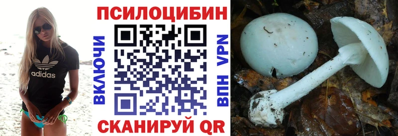 Псилоцибиновые грибы прущие грибы Кашин
